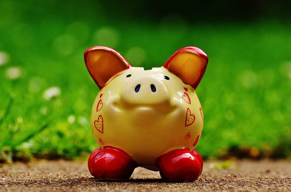 piggy-bank